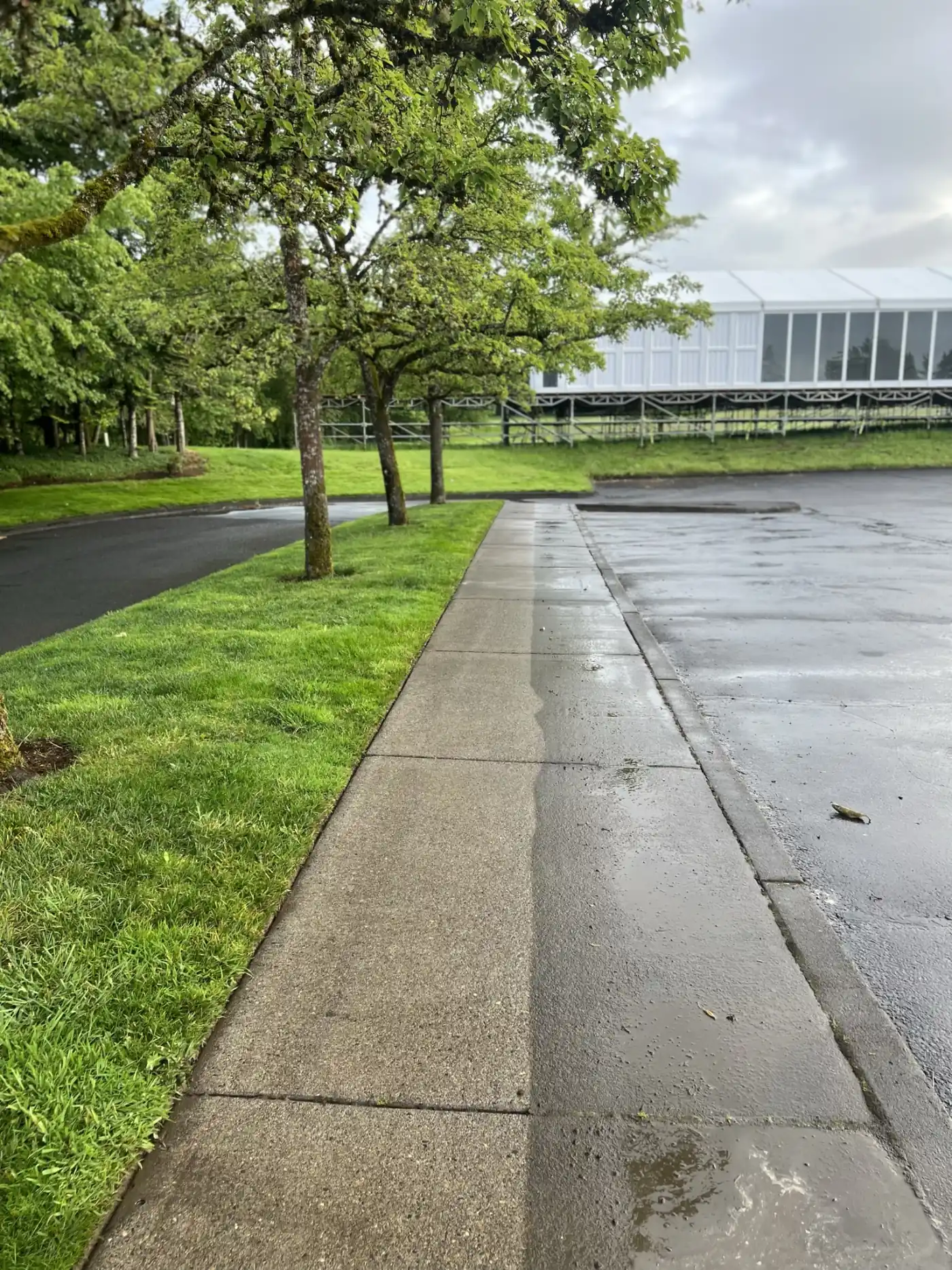A long sidewalk with a crisp line between cleaned and weathered concrete