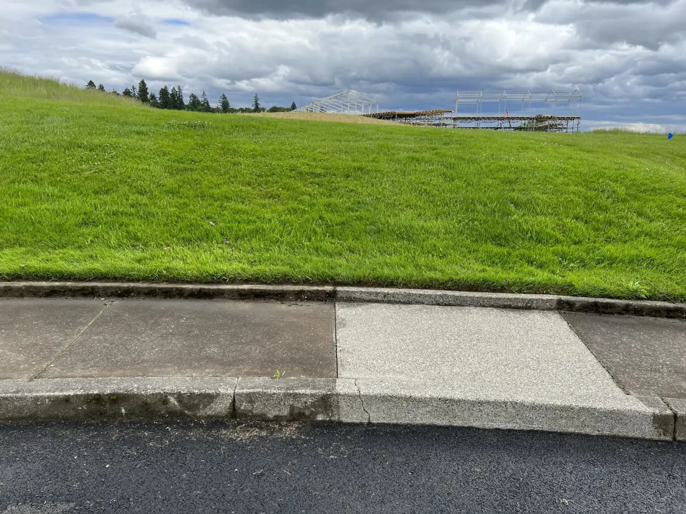 A curb and sidewalk showing the clean line where washing stopped